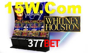 Tennis Betting 377Bet